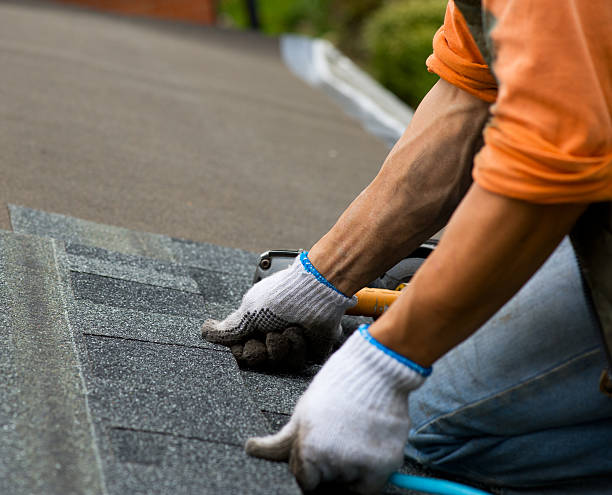 Best Roof Gutter Cleaning  in Seminole, OK